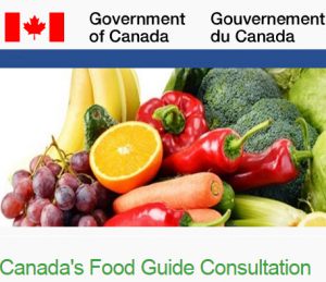 food-guide-consultation