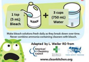 Bleach sanitizing deals solution